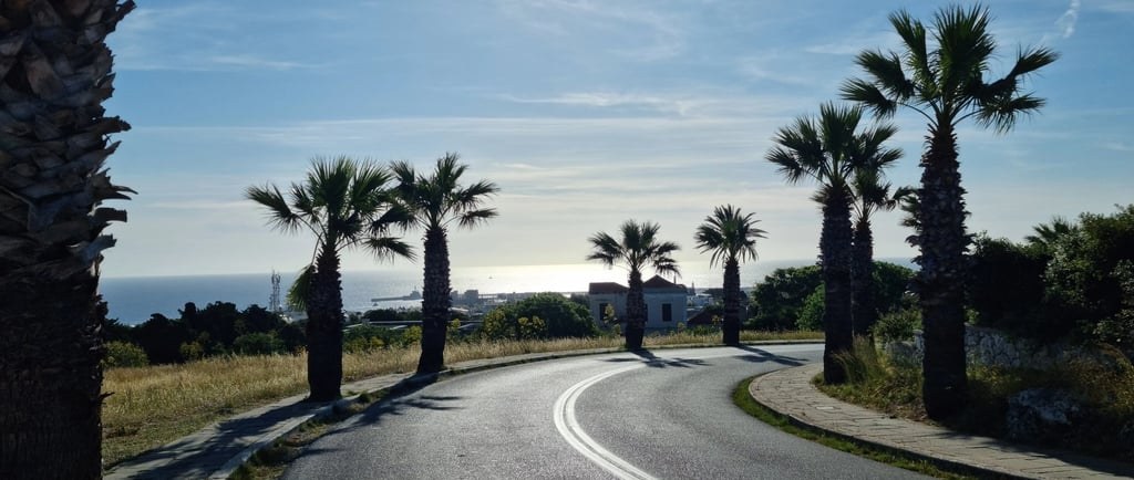 Palm trees along Monte Smith road in Rhodes